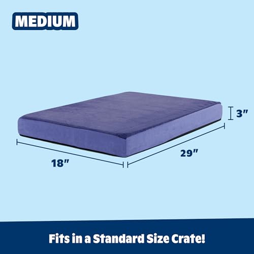 BarkBox Pet Bed Mat in Medium, Navy