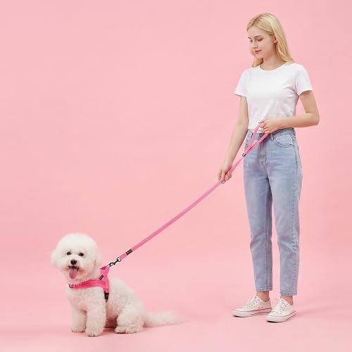Didog Leash in 5/8''x 6 FT, Pink
