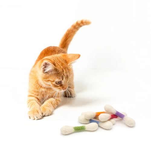 Glaciart One Pet Toy in Mini, Colorful Swabs