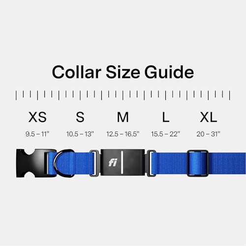 Fi Location Tracker in X-Small, Blue