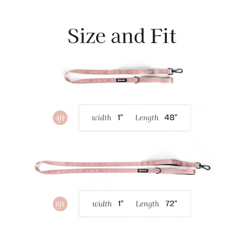 Fei and Eve Leash in 4FT, Blush