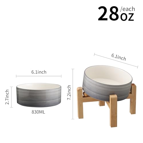 DJJJOOYS Pet Feeder in Slanted Small Dog Bowl, Grey White