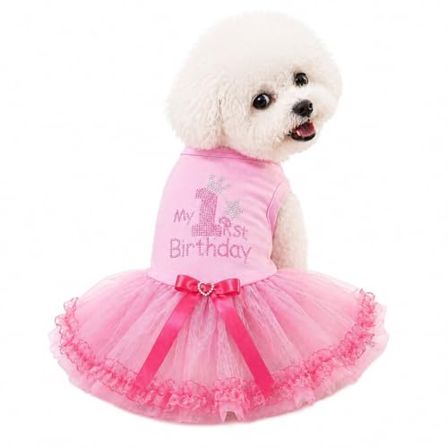 Petitebella Pet Apparel in X-Small, Pink/Pinks Lace