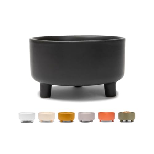 Waggo Pet Feeder in Small, Black