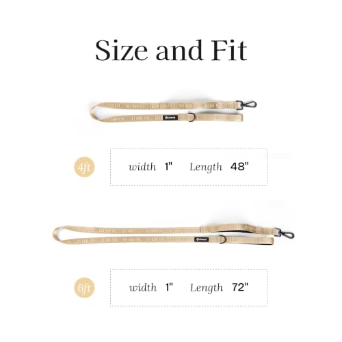 Fei and Eve Leash in 6FT, Champagne