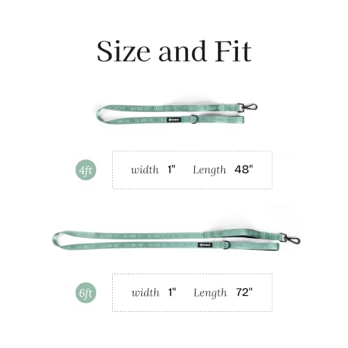 Fei and Eve Leash in 4FT, Glacier Green