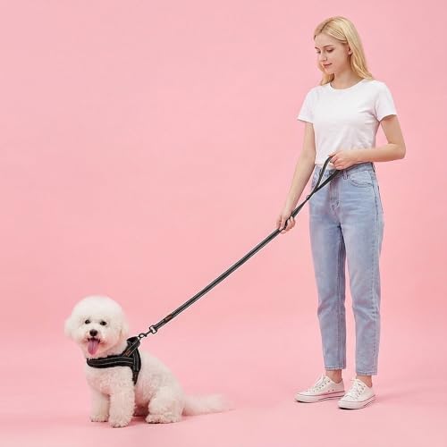 Didog Leash in 5/8''x 6 FT, Black