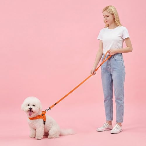 Didog Leash in 5/8''x 6 FT, Orange