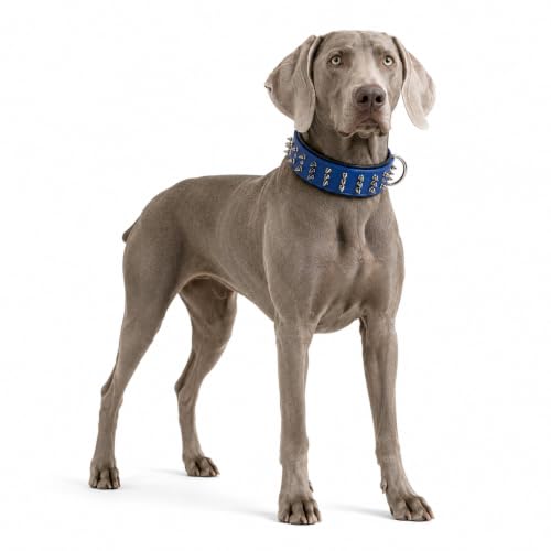 Molteriqo Animal Collar in XL-neck 49-57cm, Blue