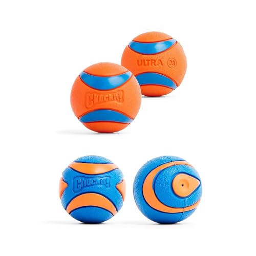 Chuckit! Pet Toy in Medium, Multi