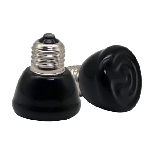 APlayfulBee Light Bulb in Black