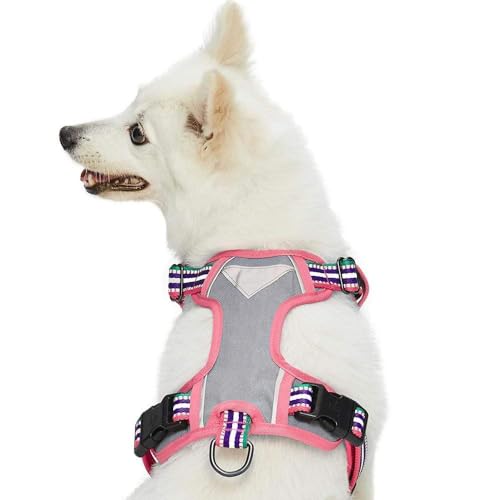 Blueberry Pet Animal Harness in Small, Pink, Emerald and Orchid
