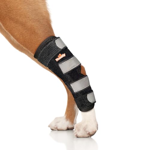 NeoAlly Pet Supplies in X-Small, Black