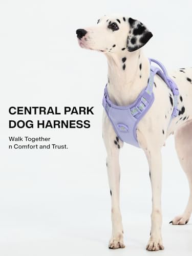Maogoublue Animal Harness in S(Neck:11.8-17.7",Chest:17.7-21.6"), Petale Purple