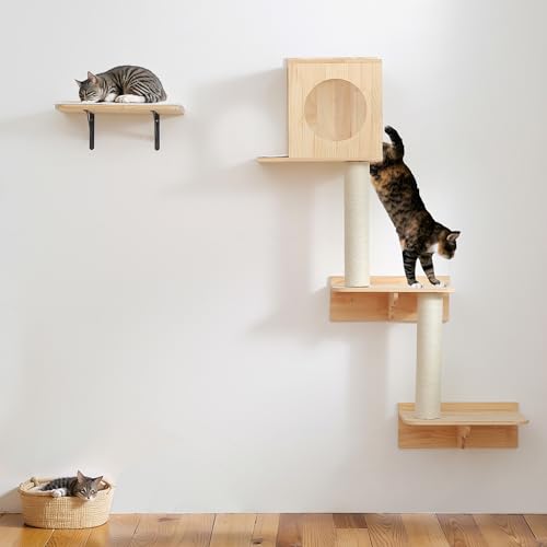 Houseables Pet Activity Structure in 14 x 10 x 6 inches