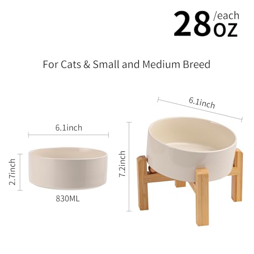 DJJJOOYS Pet Feeder in Slanted Small Dog Bowl, Beige