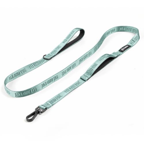 Fei and Eve Leash in 4FT, Glacier Green
