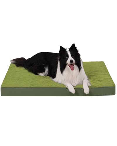 KSIIA Pet Bed Mat in 47.0"L x 29.0"W x 4.0"Th, Green