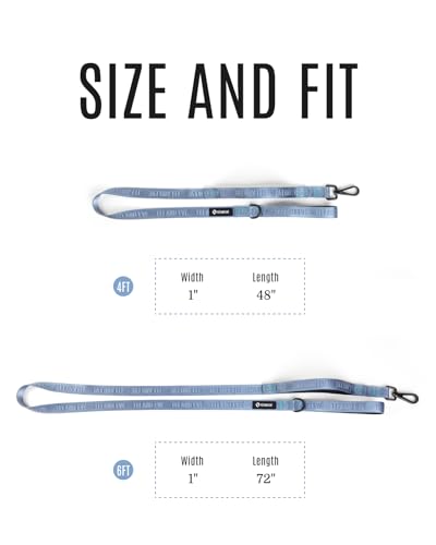 Fei and Eve Leash in 4FT, Sky Blue