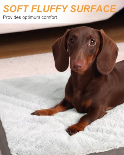 KSIIA Pet Bed Mat in 17.0"L x 12.0"W x 2.5"Th, Light Grey