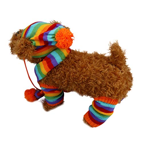 POPETPOP Pet Apparel in XXS, Multi-colored