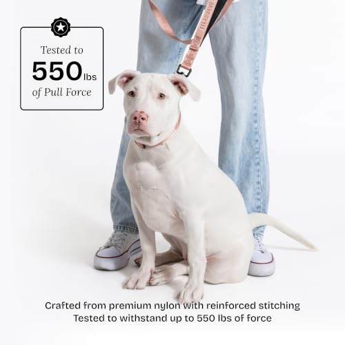 Fei and Eve Leash in 4FT, Blush