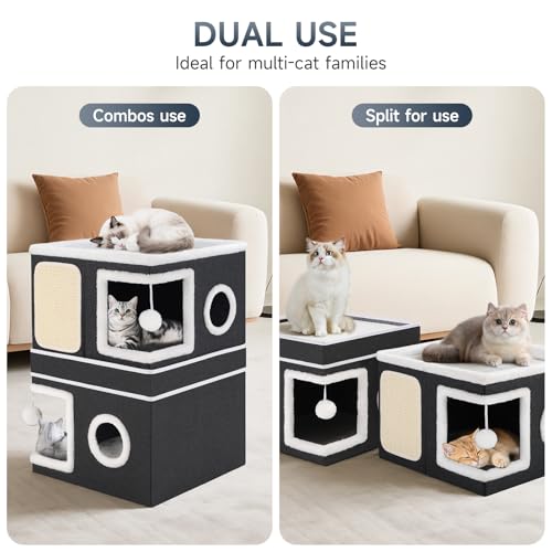 Shikha Animal Shelter in Double, Black