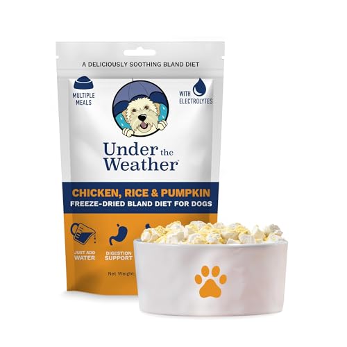 Under the Weather Pet Food in 6 Ounce (Pack of 1)