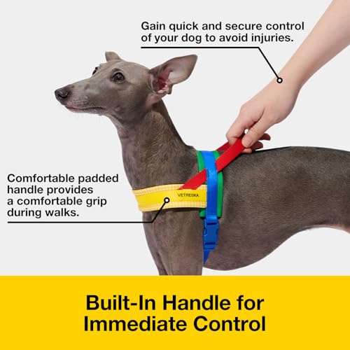 VETRESKA Animal Harness in XS(Chest: 16.9"-22"), Chroma Yellow