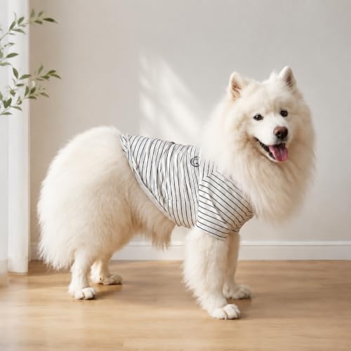 Wiz BBQT Pet Apparel in Pet 5XL - Chest 27.2", White