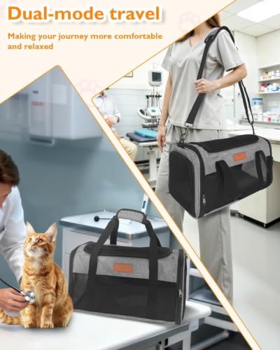Petux Animal Carrier in 17.0"L x 11.0"W x 9.5"H, Grey