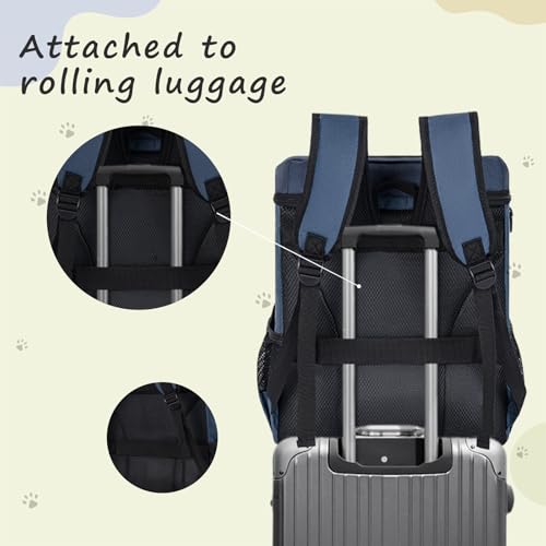 ANILD Animal Carrier in Dark Blue