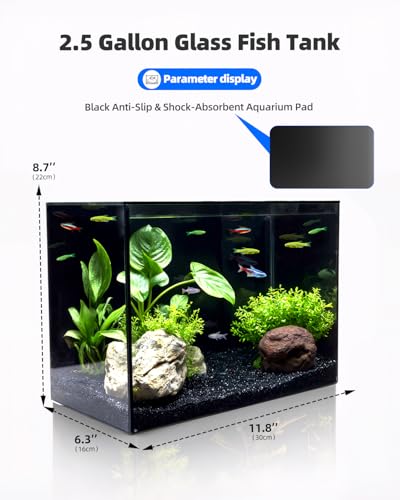 minilake Vivarium in 2.5 Gallon, Black