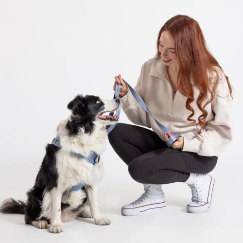 Fei and Eve Leash in 4FT, Dusk Blue