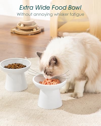 vancasso Pet Feeder in 2 Pack-Food Bowls, White
