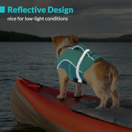Queenmore Pet Apparel in X-Small, LightBlue