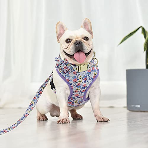Beirui Animal Harness in XS:Fit 6-12 lbs, Blue