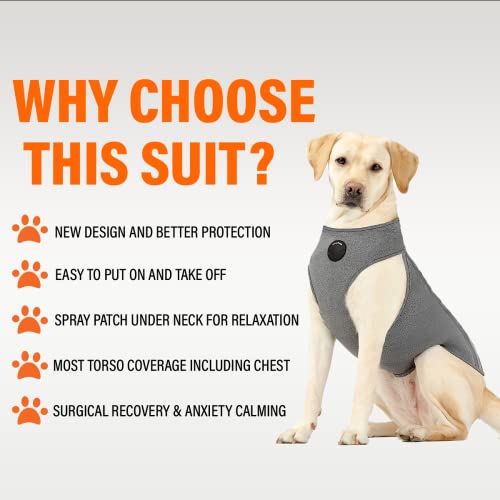 NeoAlly Pet Apparel in X-Small, Grey