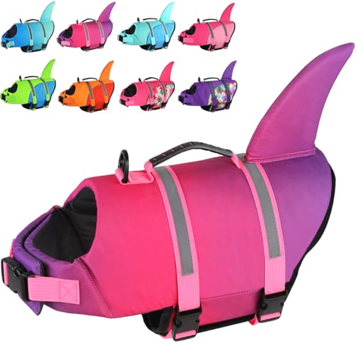 Doglay Pet Apparel in X-large, Gradient Pink Purple