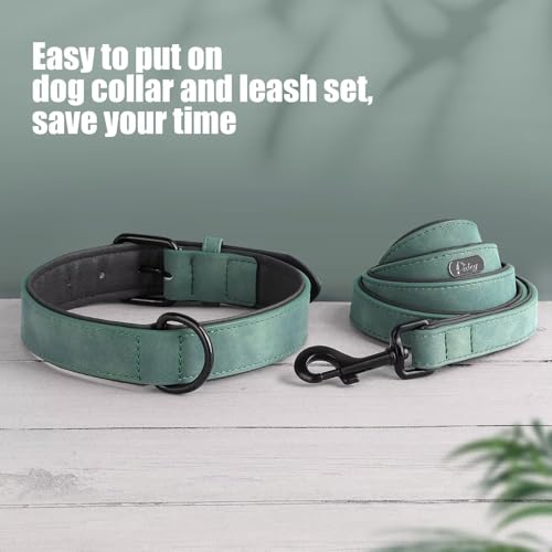 Didog Animal Collar in M: Fit Neck 11-14"(10-20 lbs), Green Set