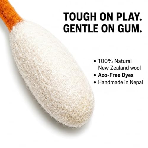 Glaciart One Pet Toy in Regular, Orange Swabs