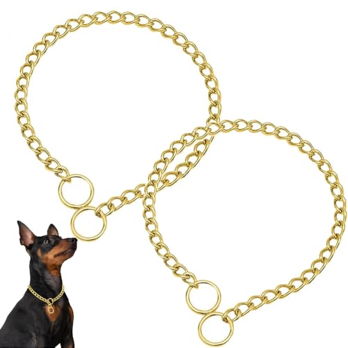 Weimostar Animal Collar in XS(Neck Max 12inch)D2.0mm, 2Pack Gold