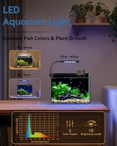 minilake Vivarium in 2.5 Gallon, Black