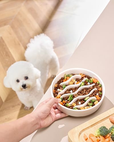 MOPANG Pet Feeder in 8 Inches, White