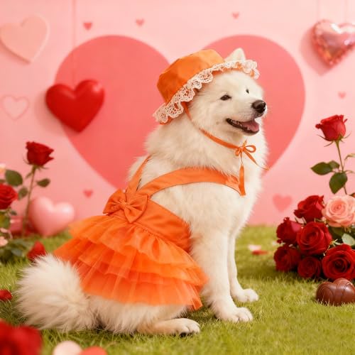 apott Pet Apparel in Small, Orange
