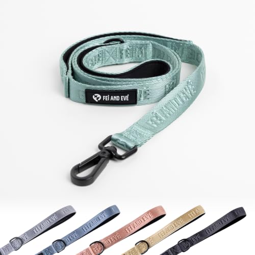 Fei and Eve Leash in 4FT, Glacier Green