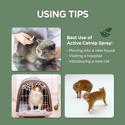 JAYU PET Pet Toy in 1fl oz, Catnip