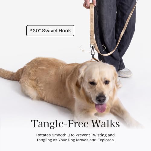 Fei and Eve Leash in 6FT, Champagne