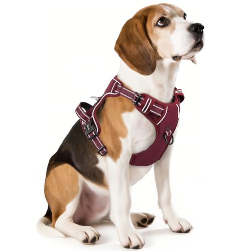 HEELE Animal Harness in M, Burgundy Red