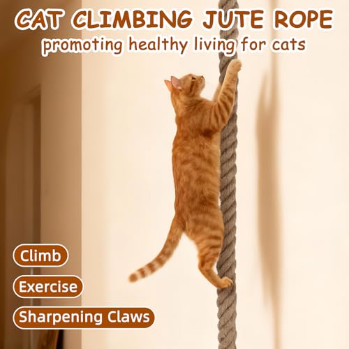 Lonepetu Pet Activity Structure in 59 IN(1.5M), brown